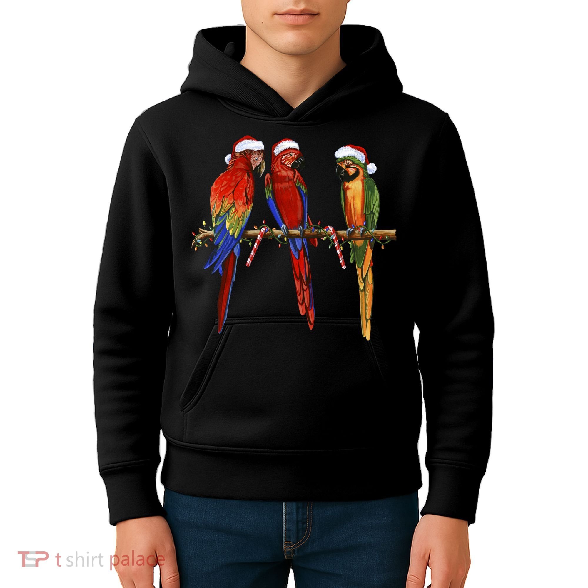 Christmas Parrots Kids Hoodie