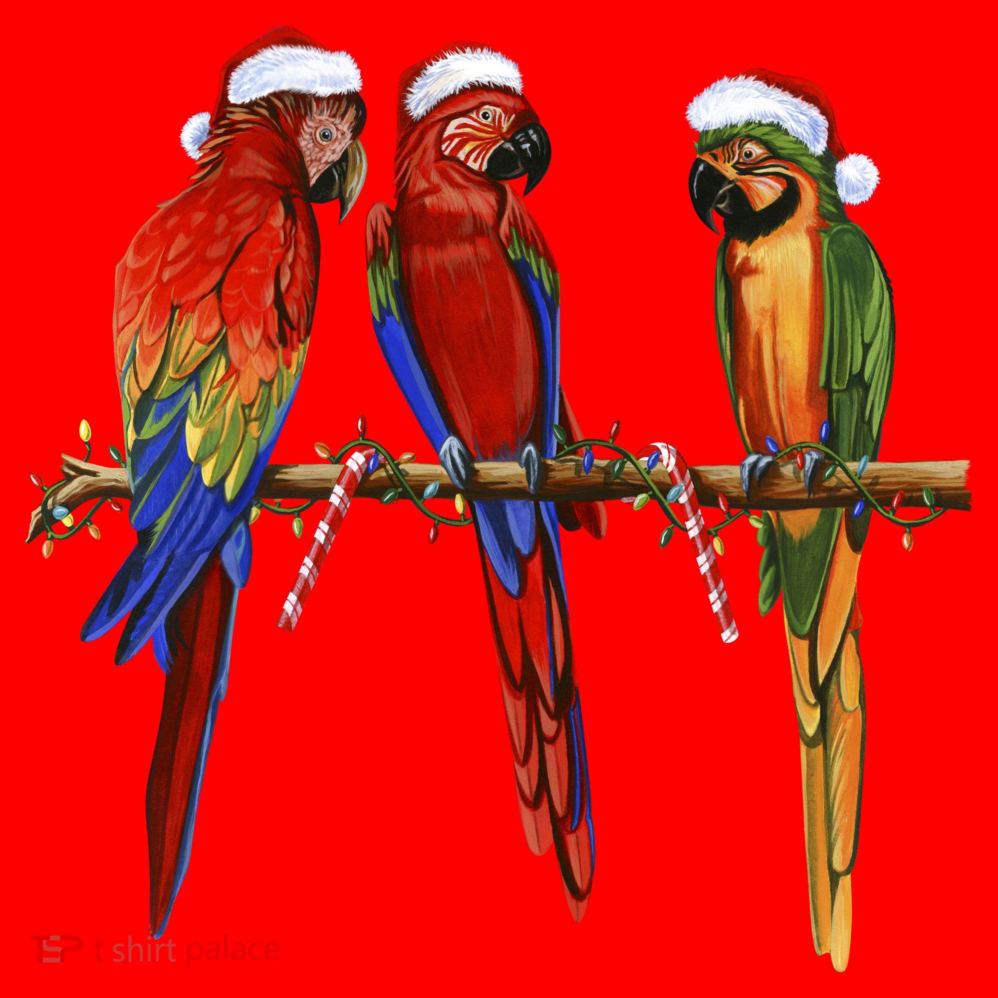 Christmas Parrots Santa Hat