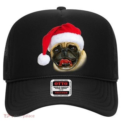 Christmas Pug Santa Hat Cute Hat