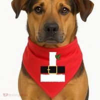Christmas Santa Costume Top USA-Made Doggie Bandana thumb 1