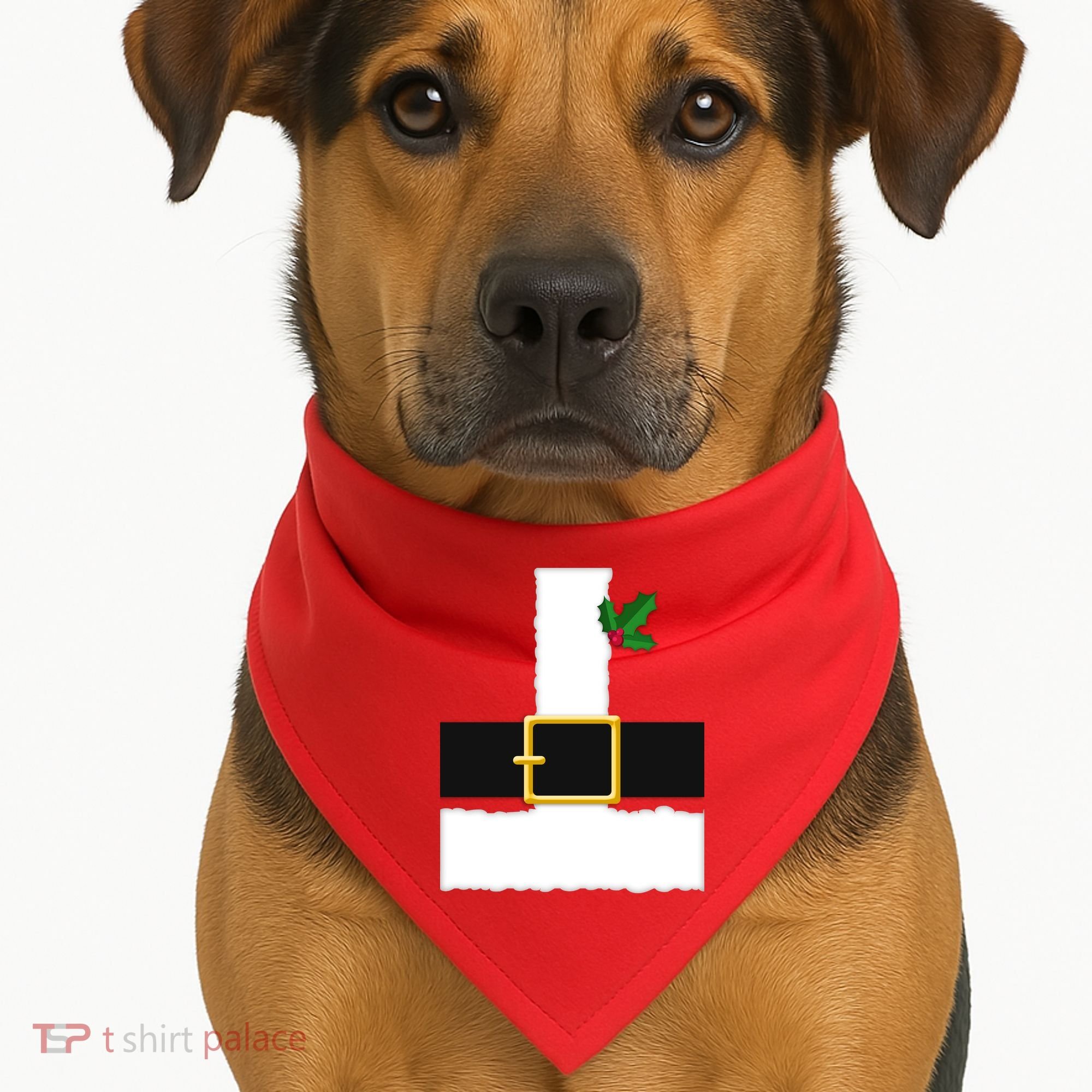 Christmas Santa Costume Top USA-Made Doggie Bandana