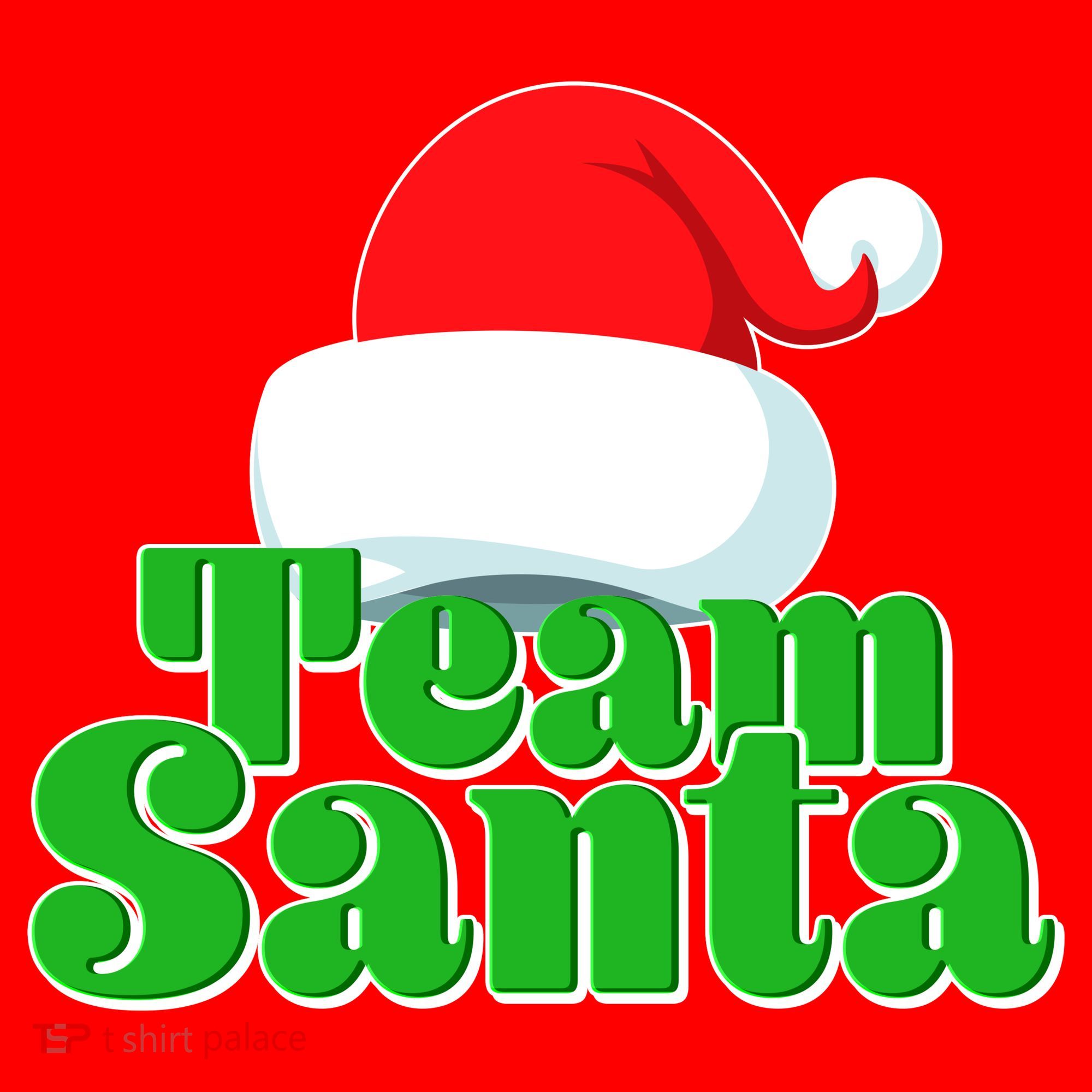Christmas Team Santa Santa Hat