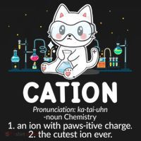 Chemistry Humor Science Teacher Cat Pun Cation Gift USA-Made Doggie Bandana thumb 2