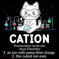 Chemistry Humor Science Teacher Cat Pun Cation Gift Coffee Mug thumb 5