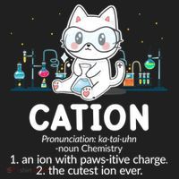 Chemistry Humor Science Teacher Cat Pun Cation Gift Beanie thumb 2