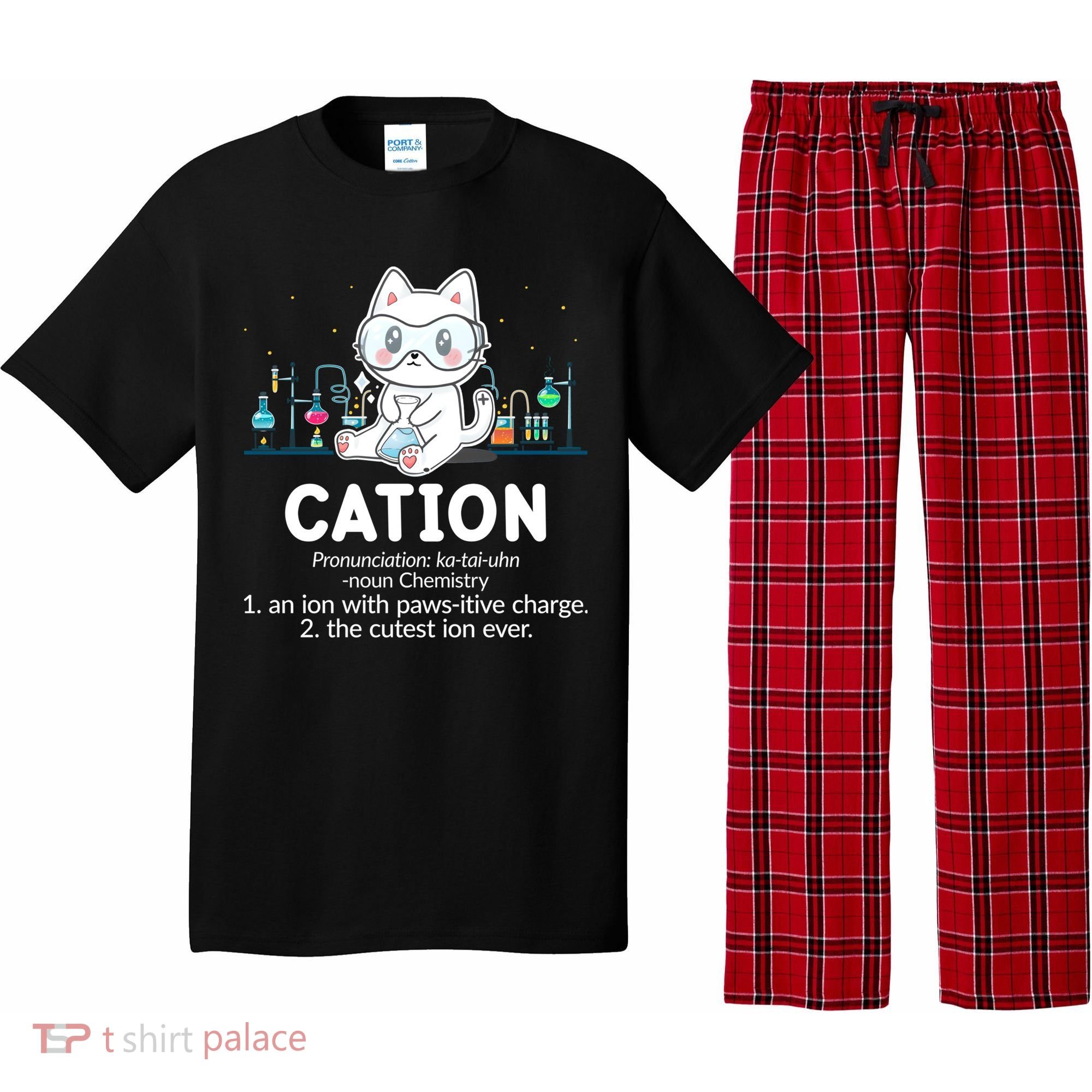 Chemistry Humor Science Teacher Cat Pun Cation Gift Pajama Set