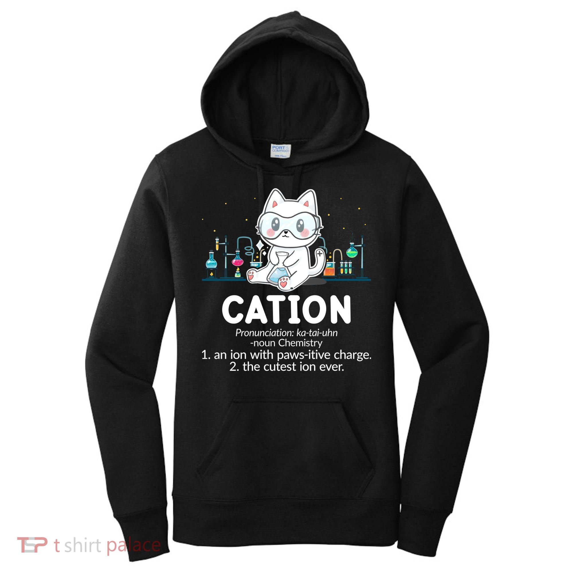 Chemistry Humor Science Teacher Cat Pun Cation Gift Women's Hoodie