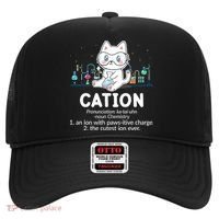 Chemistry Humor Science Teacher Cat Pun Cation Gift Hat thumb 0