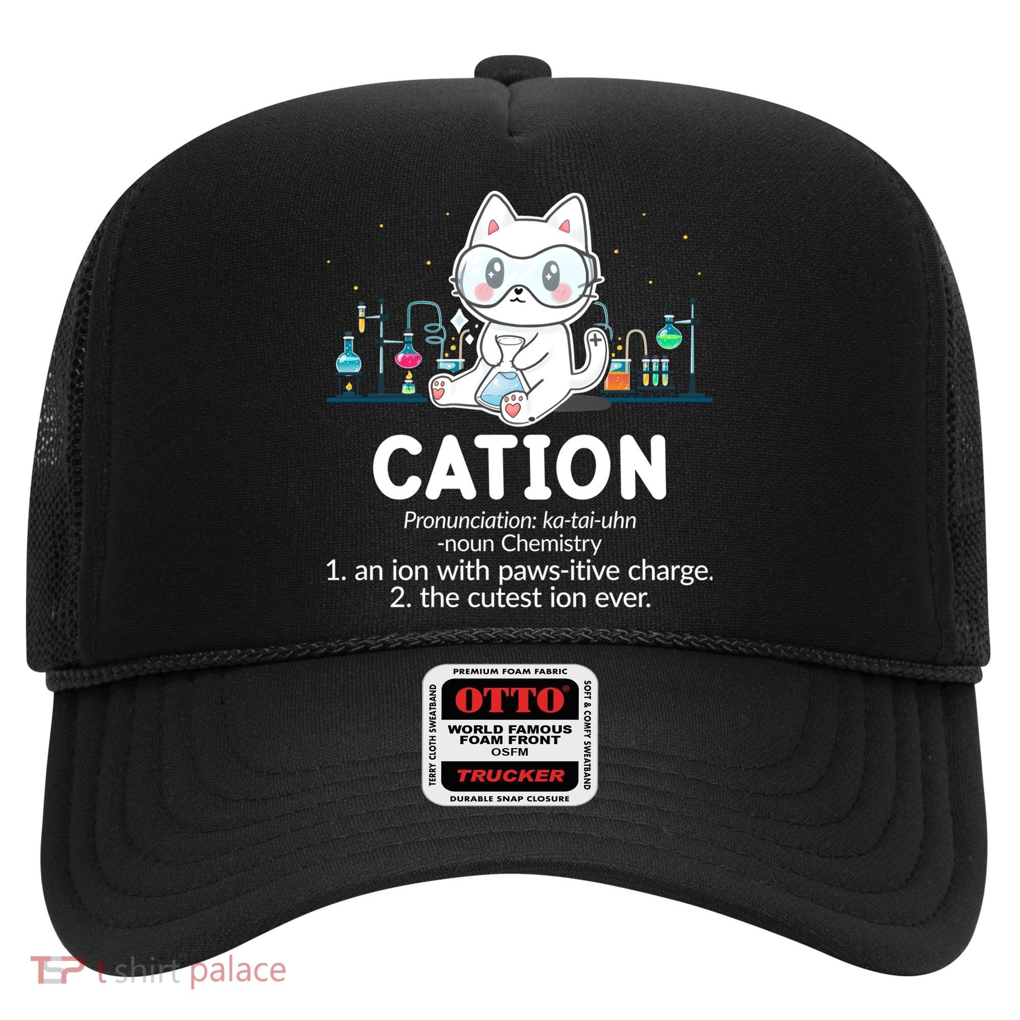 Chemistry Humor Science Teacher Cat Pun Cation Gift Hat