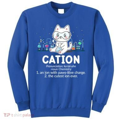Chemistry Humor Science Teacher Cat Pun Cation Gift Sweatshirt