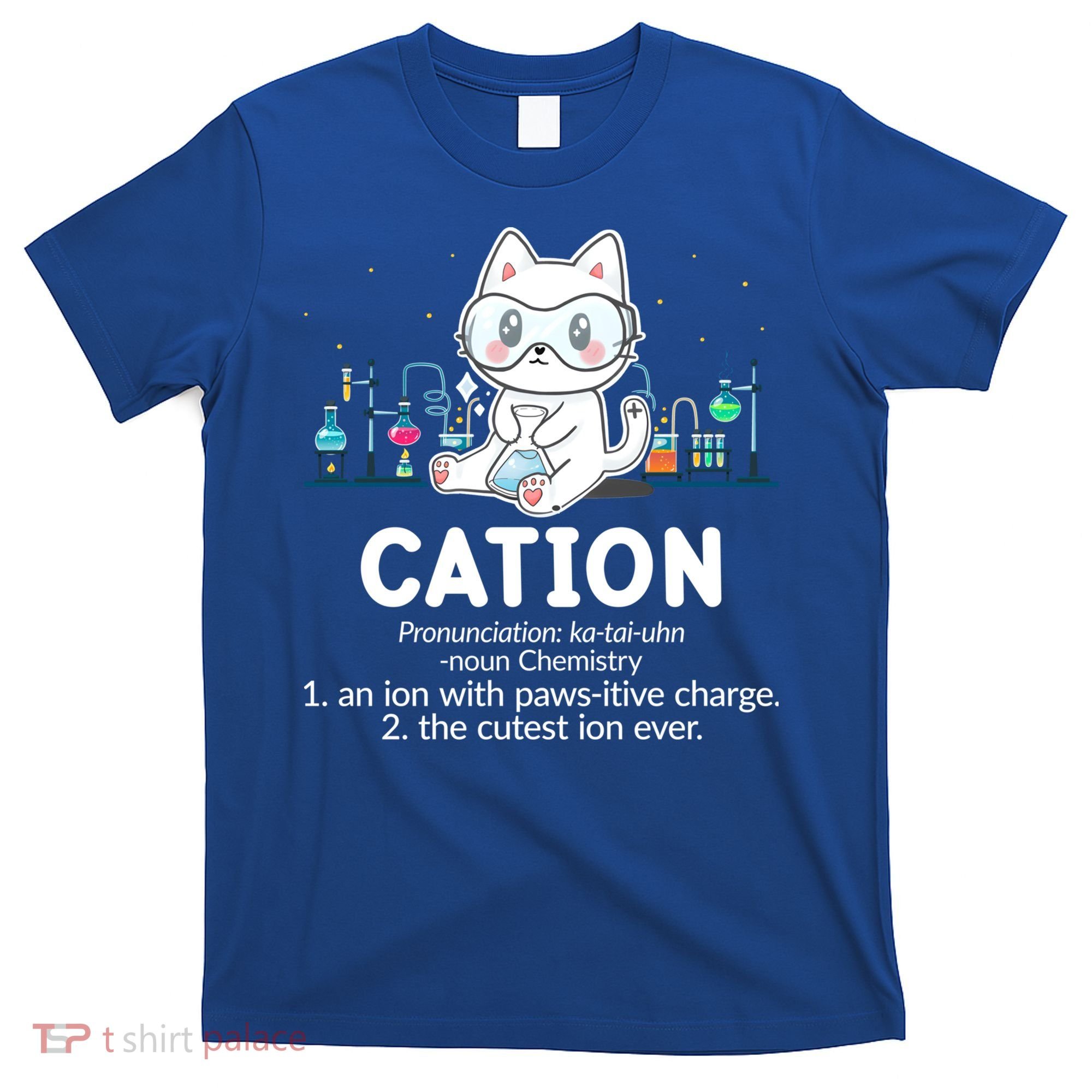 Chemistry Humor Science Teacher Cat Pun Cation Gift T-Shirt