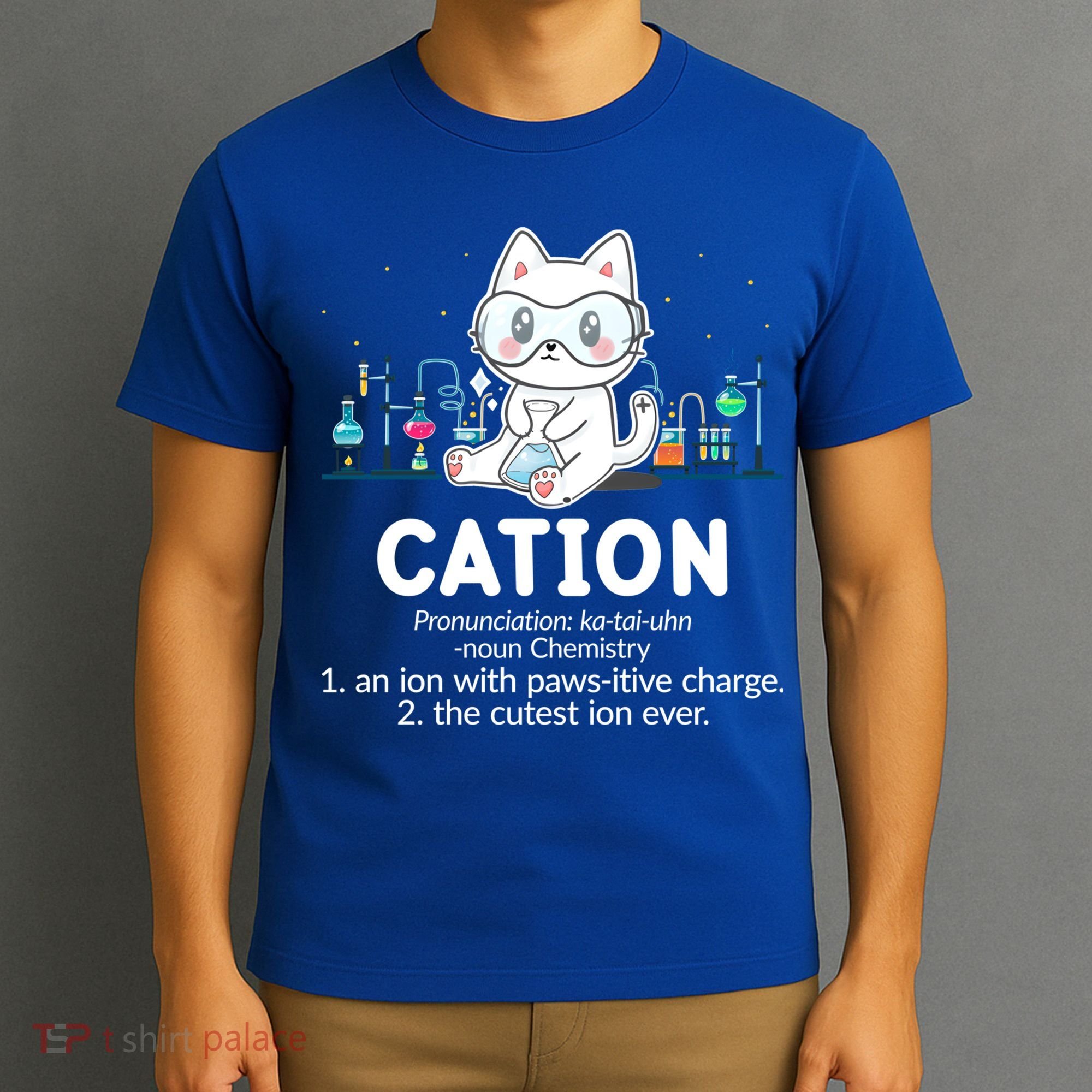 Chemistry Humor Science Teacher Cat Pun Cation Gift T-Shirt