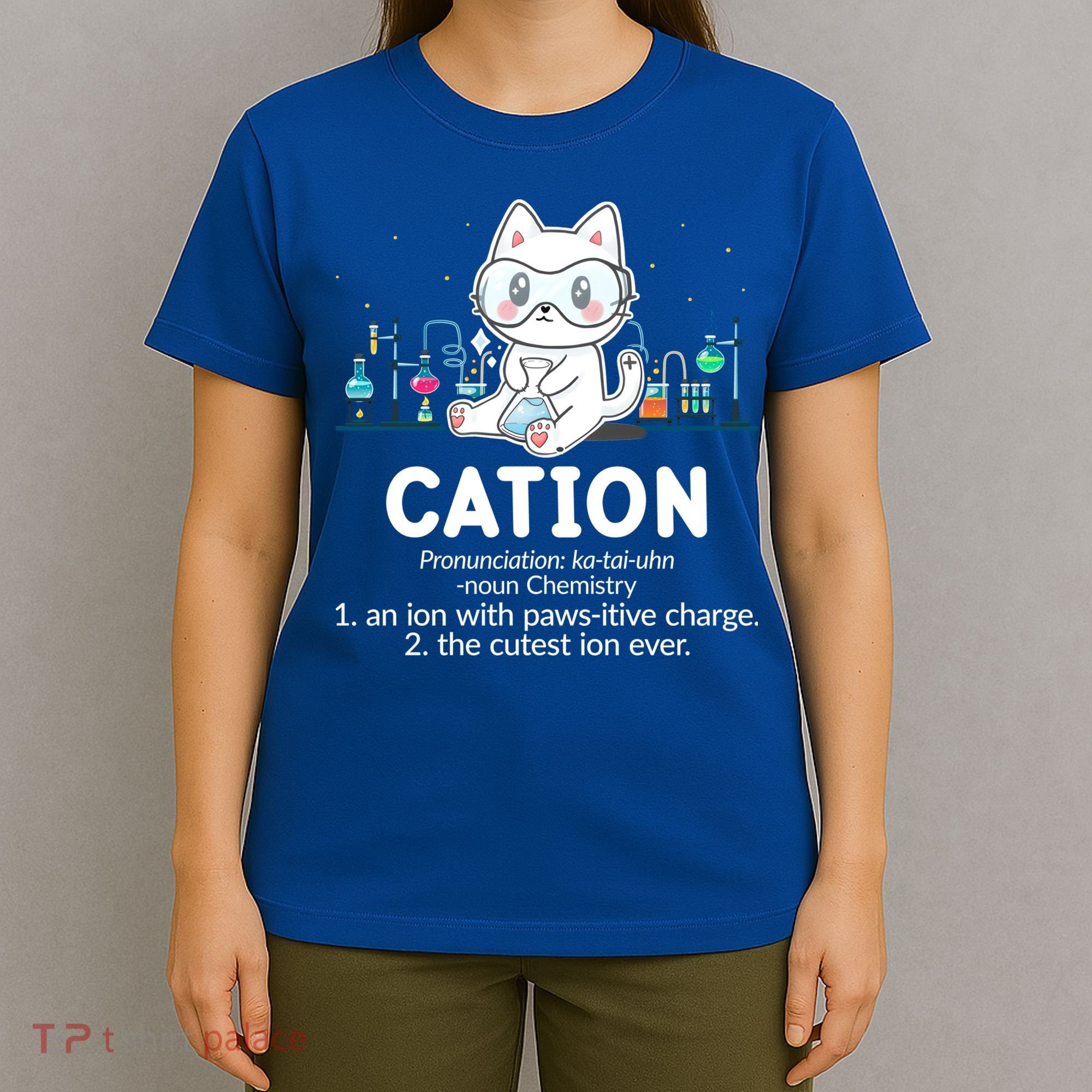 Chemistry Humor Science Teacher Cat Pun Cation Gift T-Shirt
