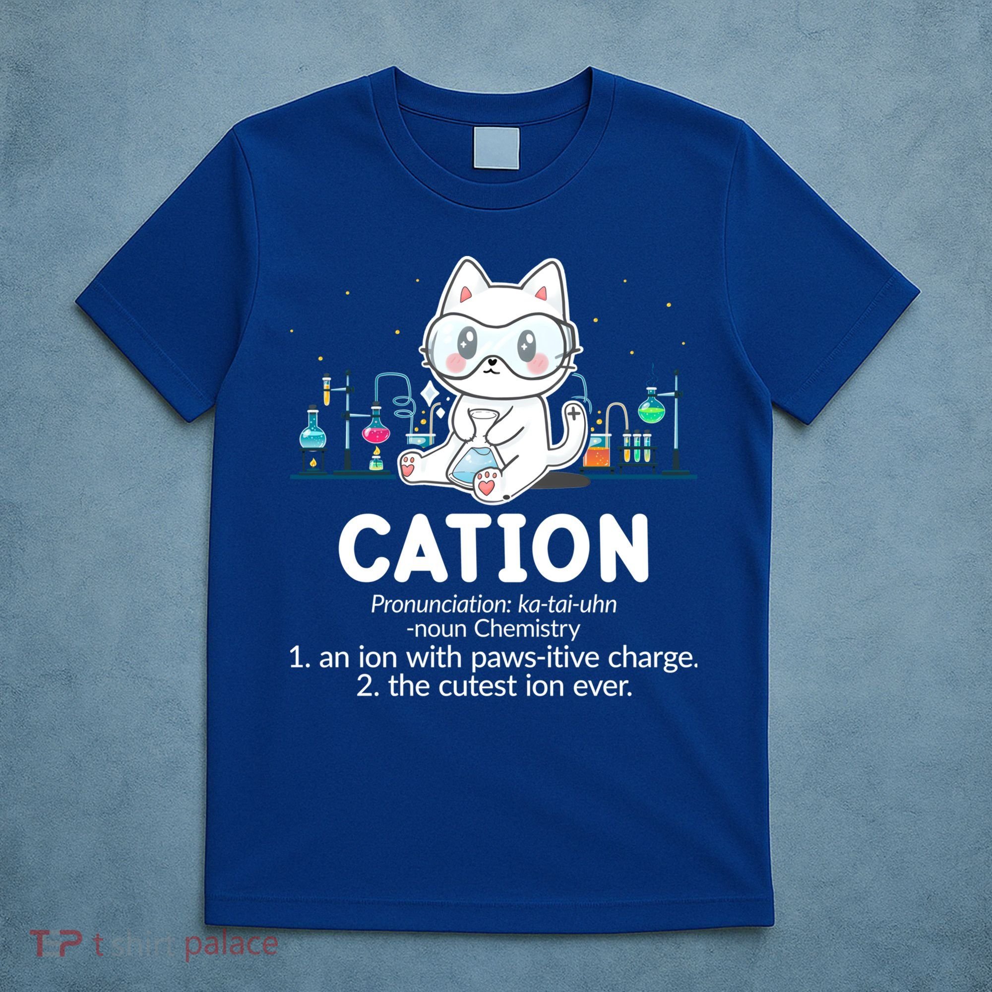 Chemistry Humor Science Teacher Cat Pun Cation Gift T-Shirt