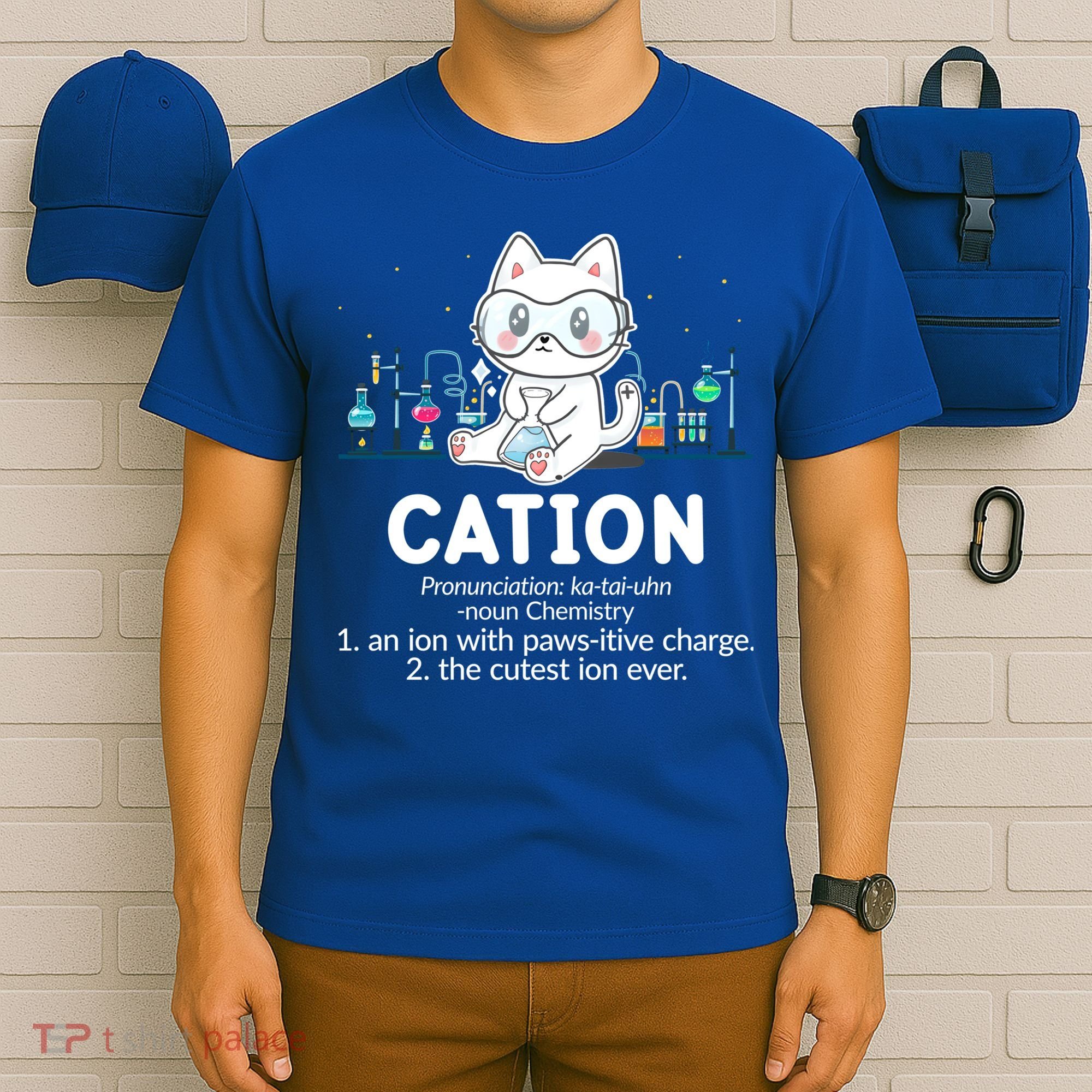 Chemistry Humor Science Teacher Cat Pun Cation Gift T-Shirt