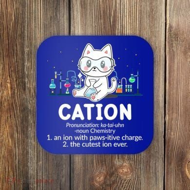 Chemistry Humor Science Teacher Cat Pun Cation Gift Coaster