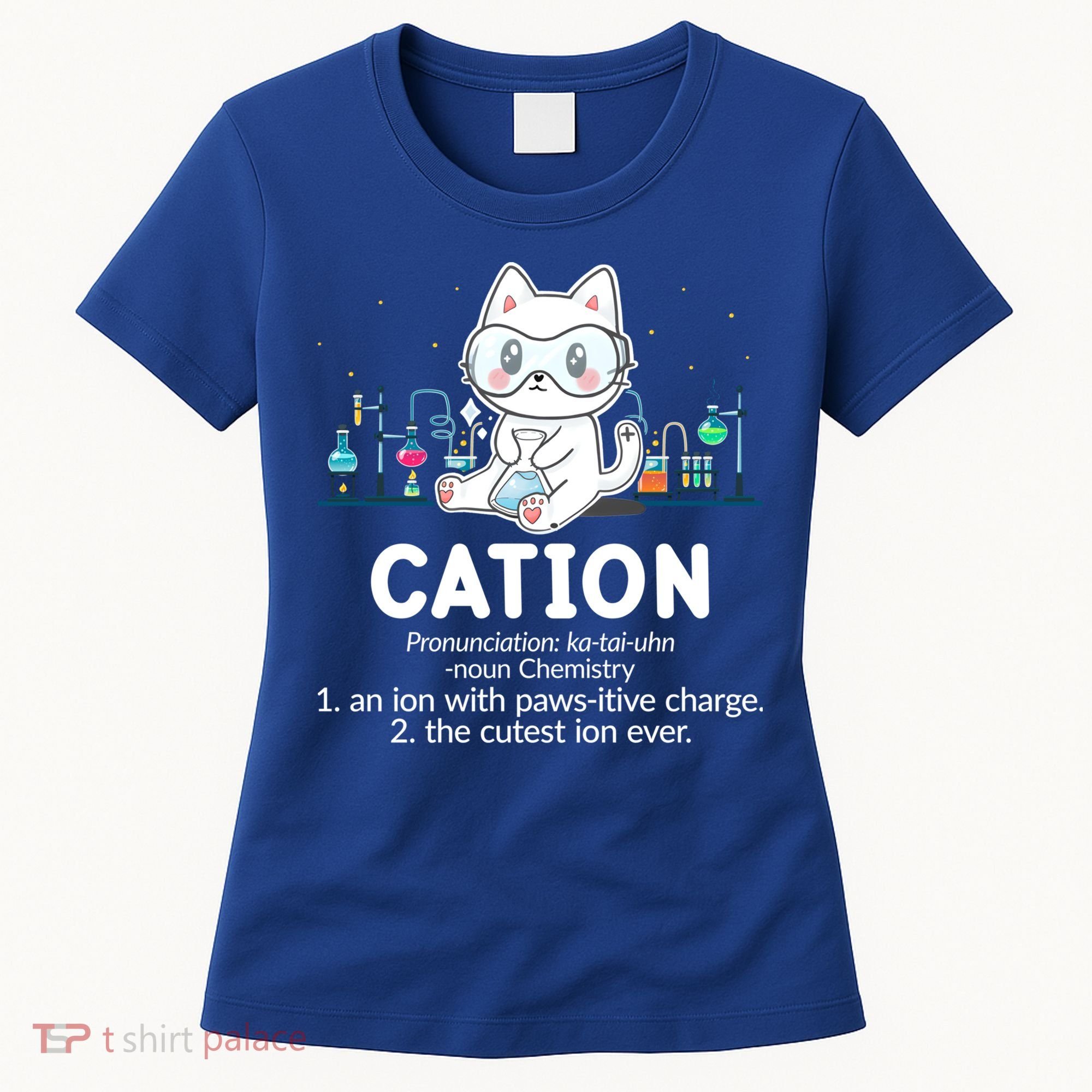 Chemistry Humor Science Teacher Cat Pun Cation Gift Women's T-Shirt