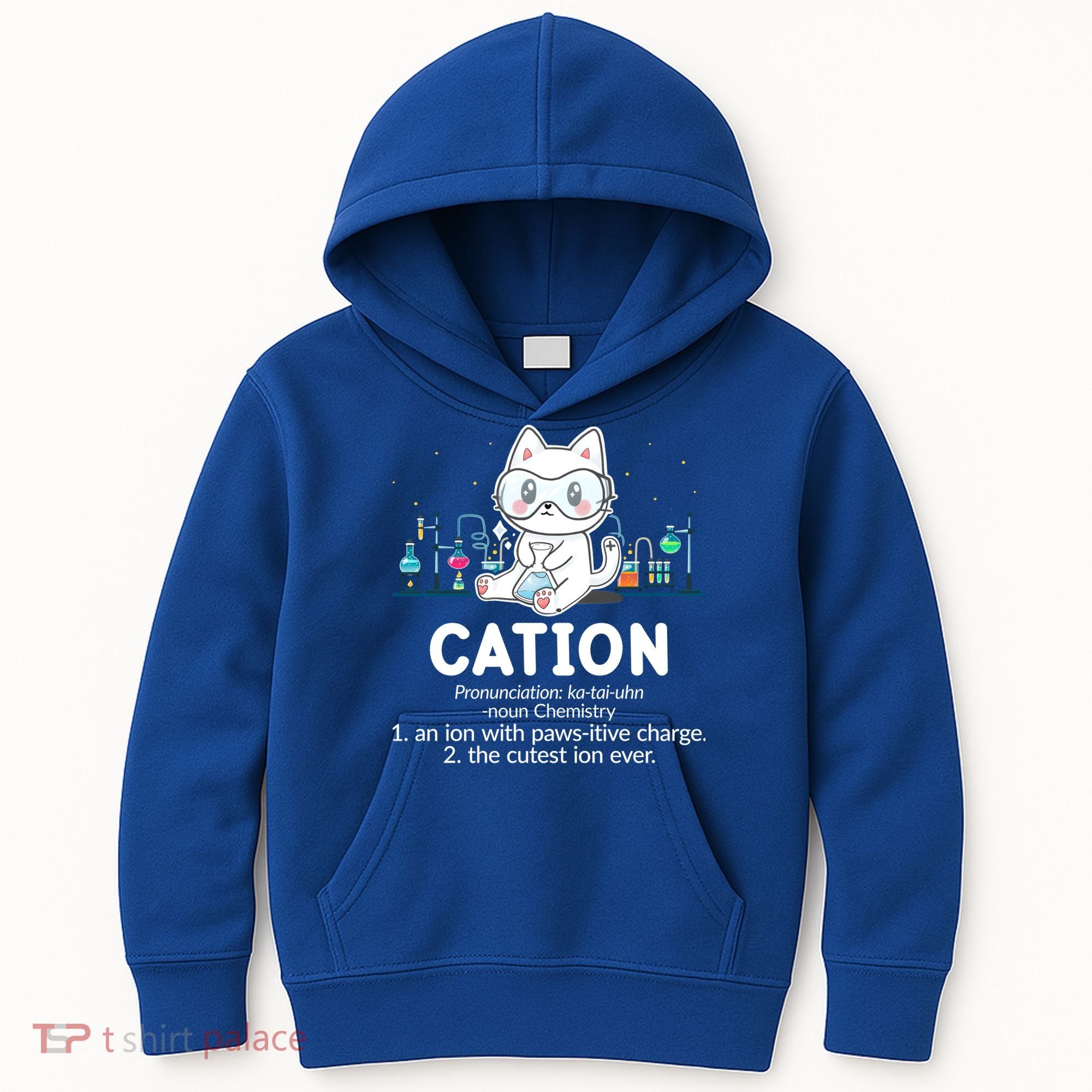 Chemistry Humor Science Teacher Cat Pun Cation Gift Kids Hoodie