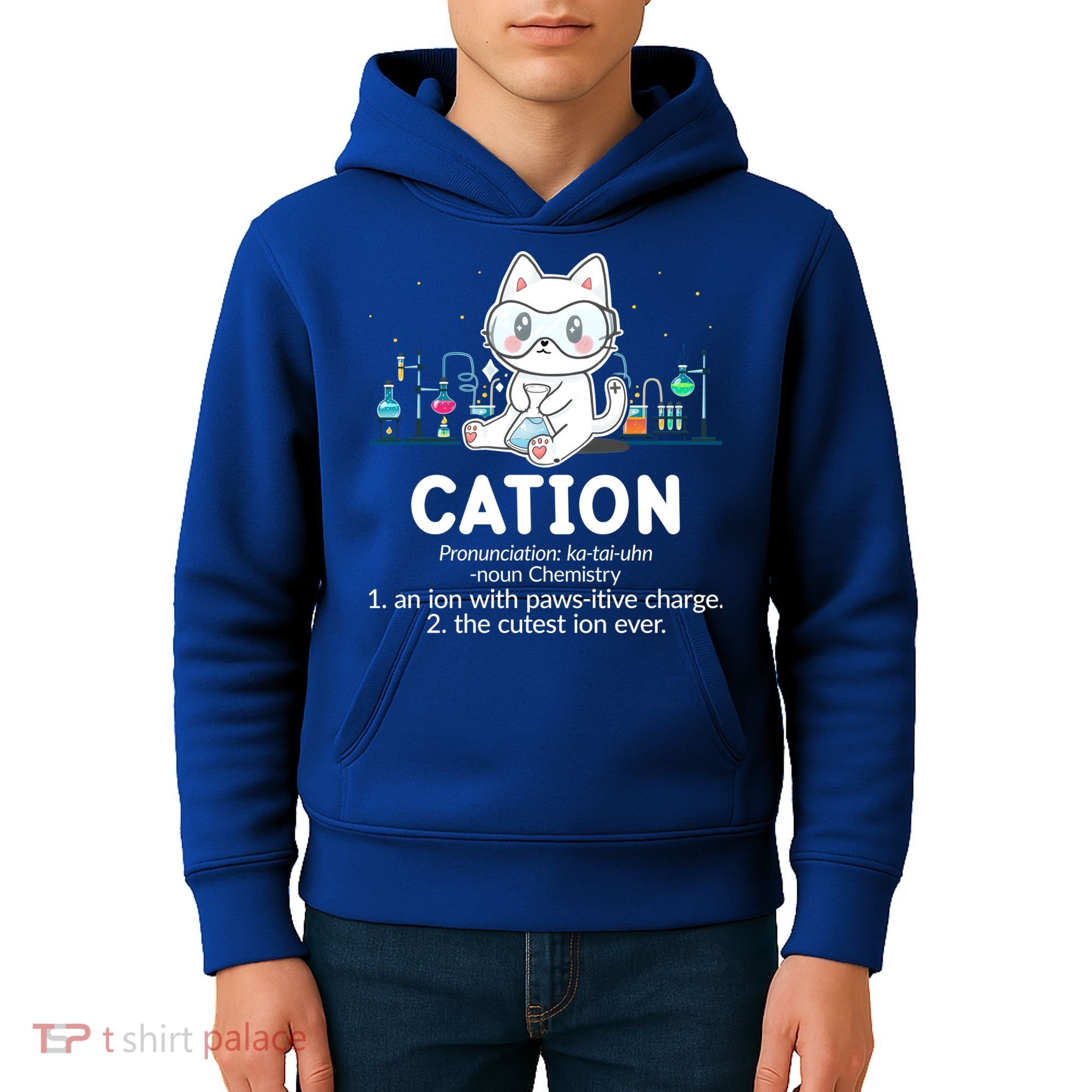Chemistry Humor Science Teacher Cat Pun Cation Gift Kids Hoodie
