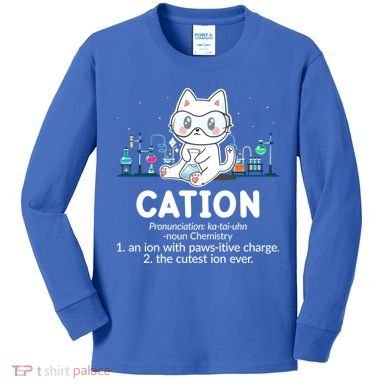 Chemistry Humor Science Teacher Cat Pun Cation Gift Kids Long Sleeve Shirt