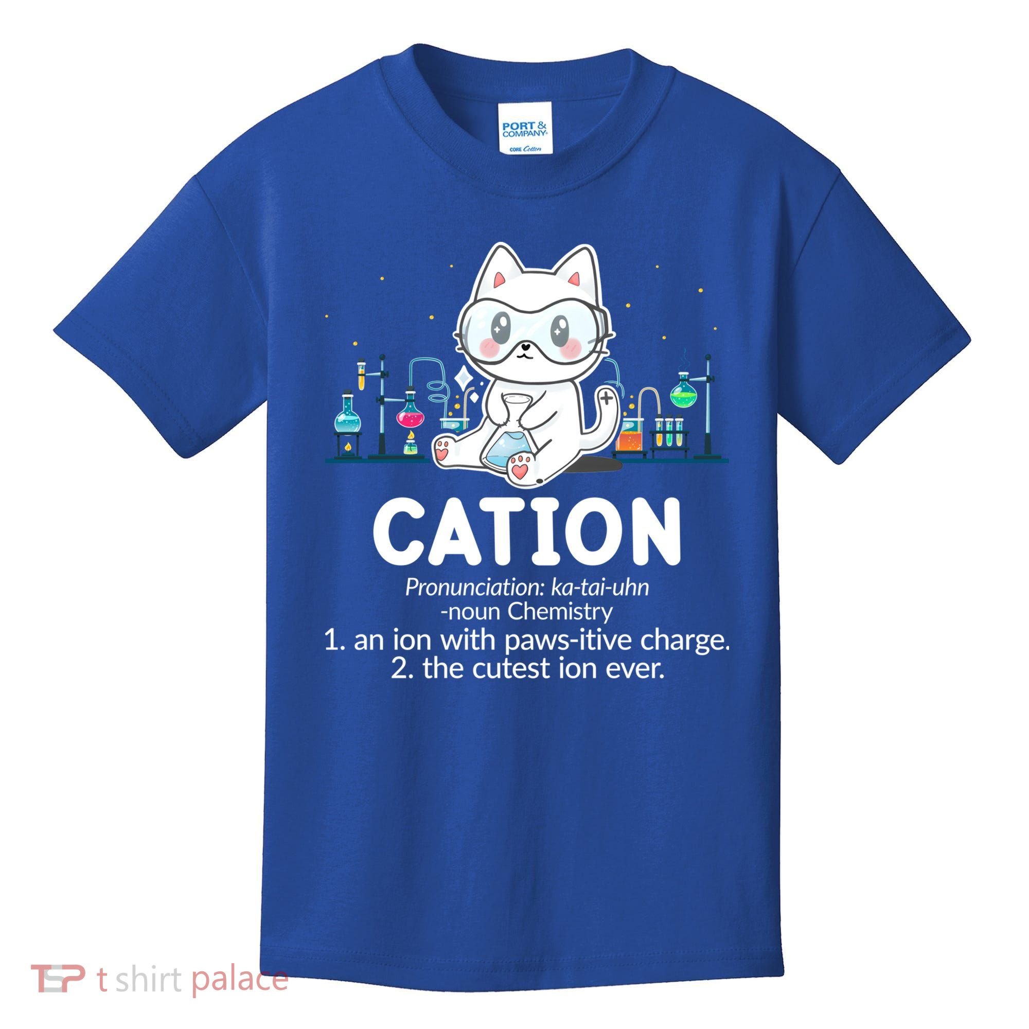 Chemistry Humor Science Teacher Cat Pun Cation Gift Kids T-Shirt