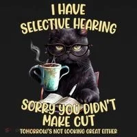 Cat Have Selective Hearing You Didnt Make Cut Funny Toddler Hoodie thumb 2