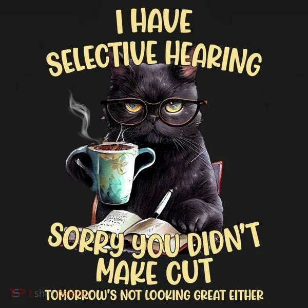 Cat Have Selective Hearing You Didnt Make Cut Funny Toddler Hoodie