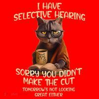 Cat Have Selective Hearing You Didnt Make Cut Funny Saying Santa Hat thumb 1