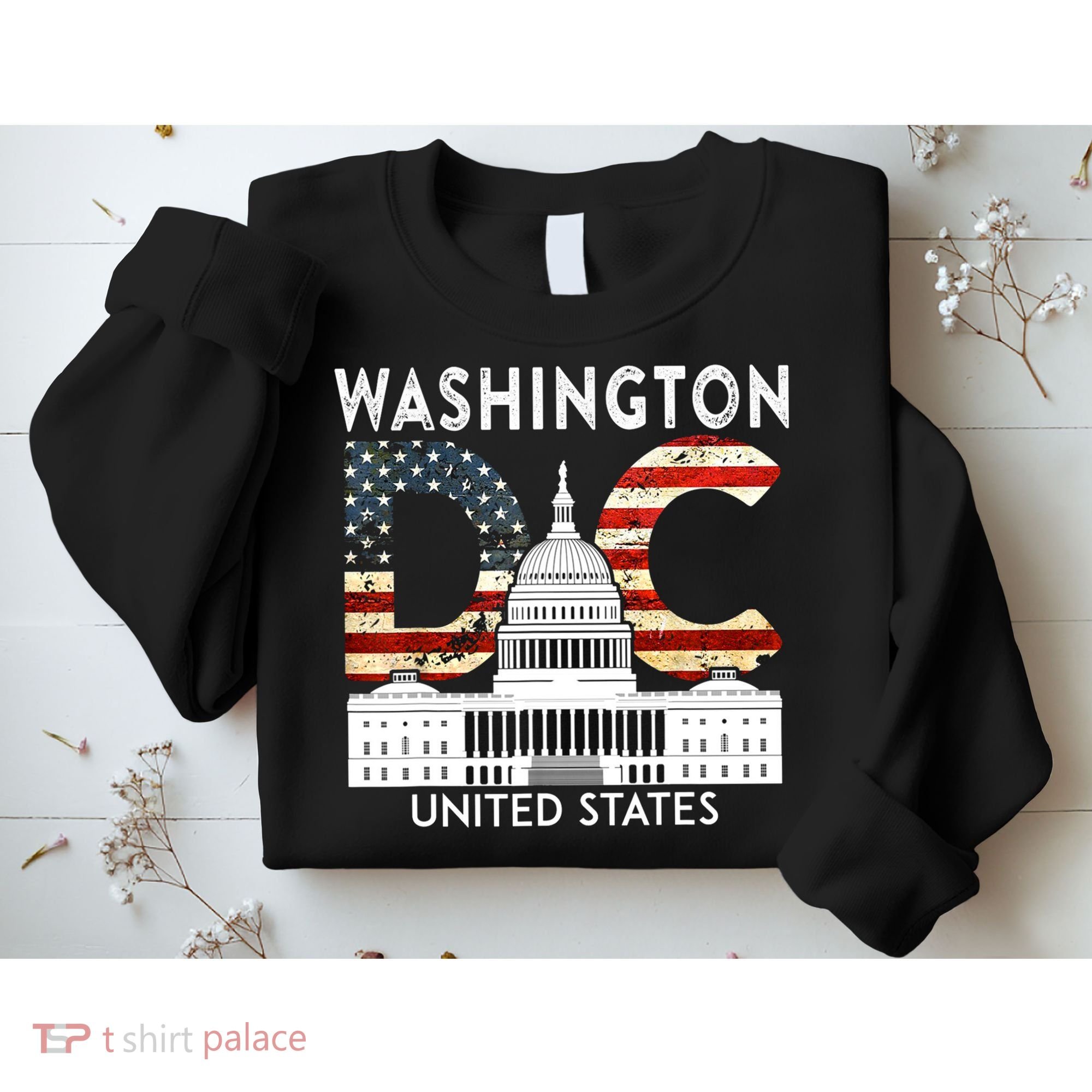 Capitol Hill Souvenir Gift Washington DC Sweatshirt