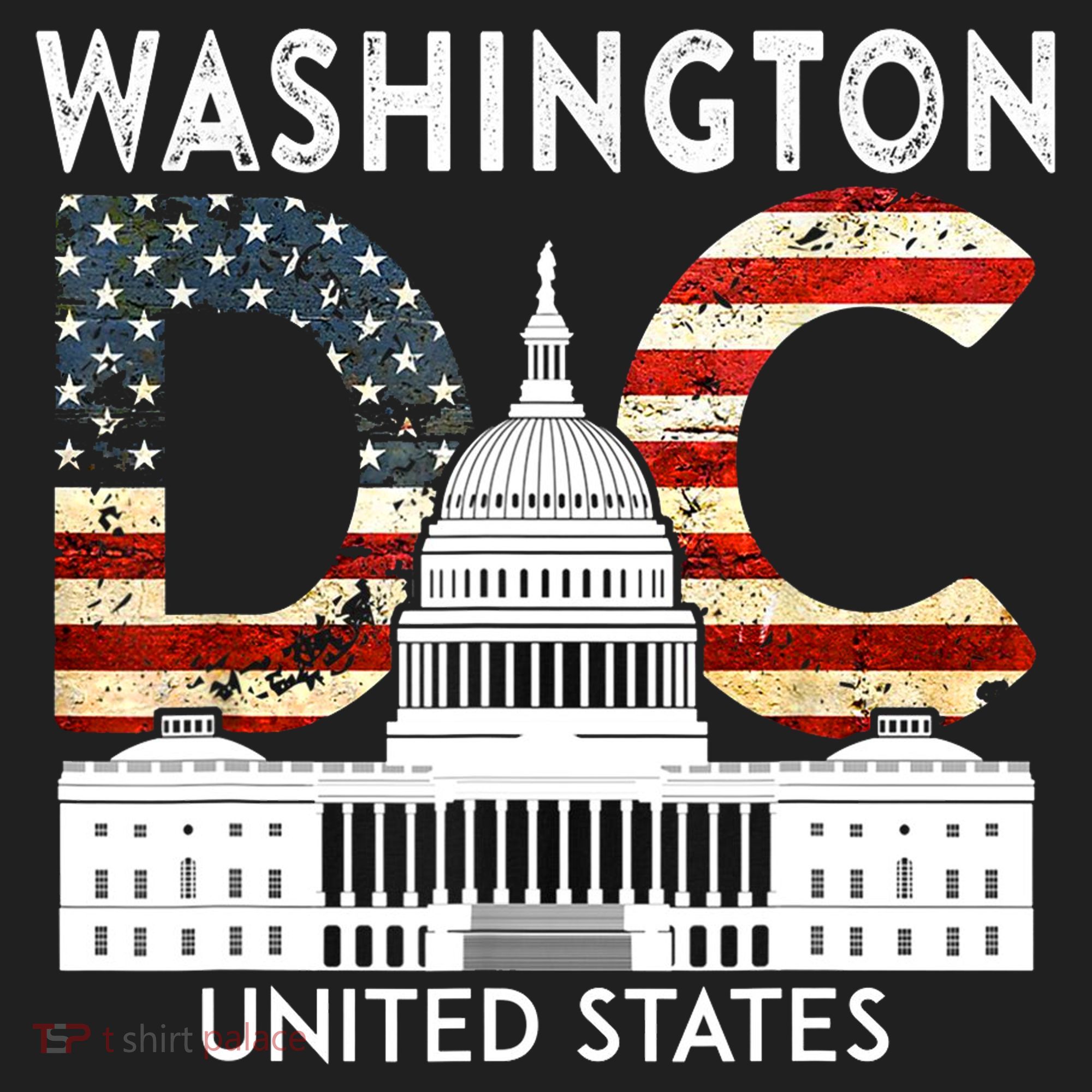 Capitol Hill Souvenir Gift Washington DC Tumbler