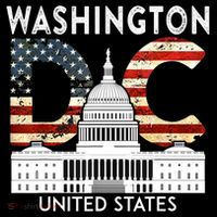 Capitol Hill Souvenir Gift Washington DC Ornament thumb 1