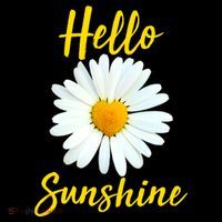Cute Hello Sunshine Heart Daisy Flower Doggie Tank thumb 4