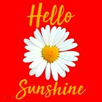 Cute Hello Sunshine Heart Daisy Flower Santa Hat thumb 1