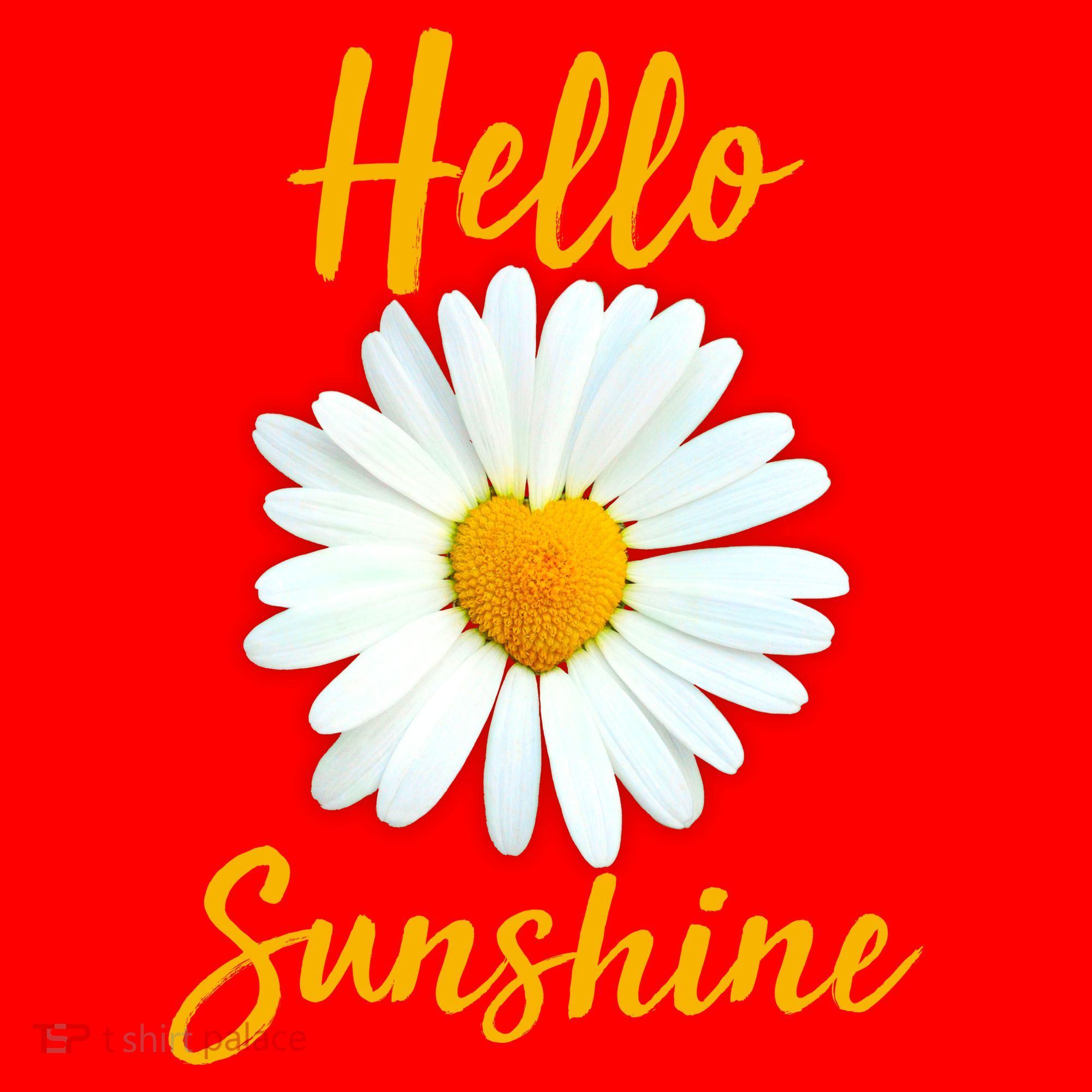 Cute Hello Sunshine Heart Daisy Flower Santa Hat
