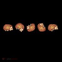 Cute Hedgehog This Is How I Roll Hedgehog Coffee Mug thumb 5