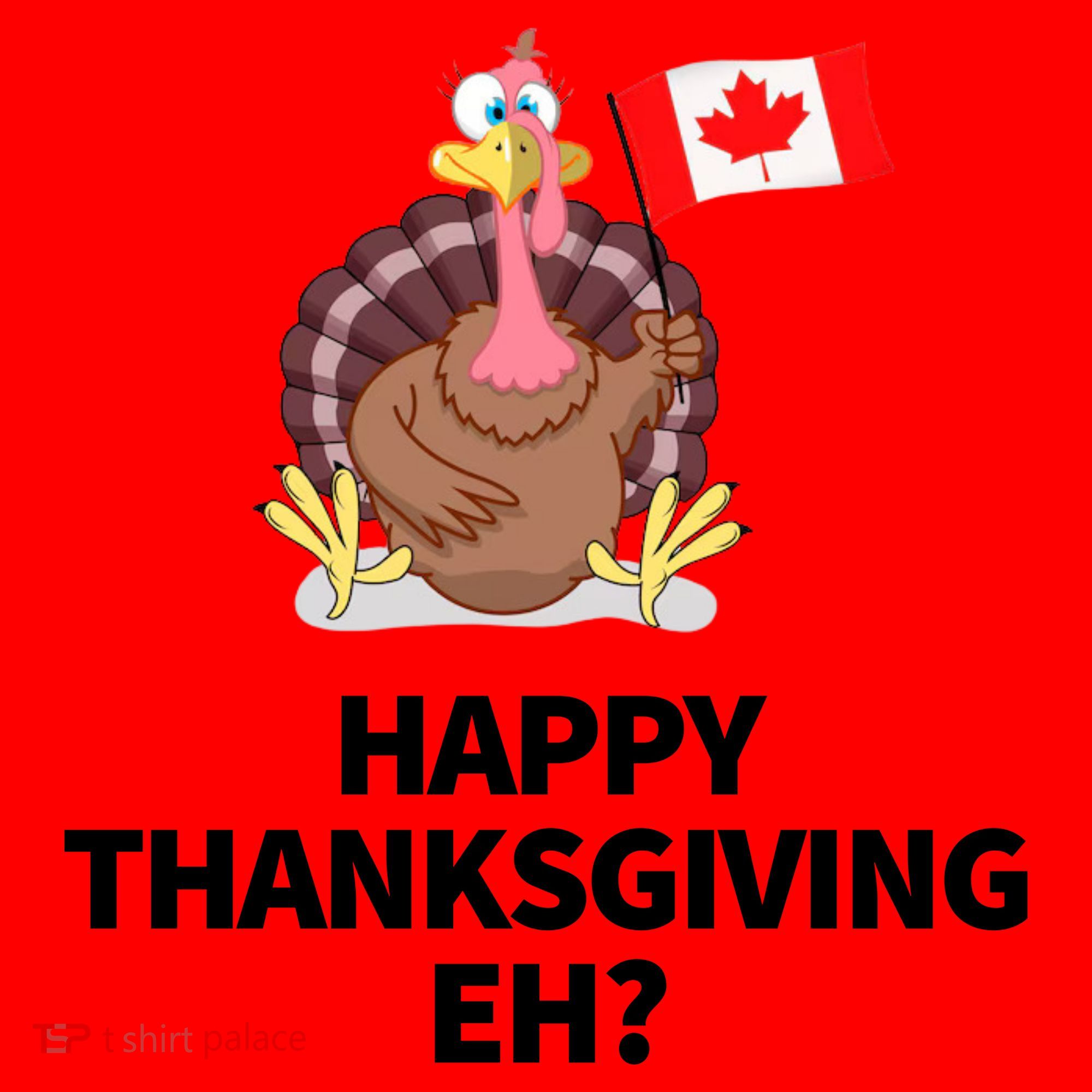 Canadian Happy Thanksgiving EH? Funny Turkey Dinner Santa Hat