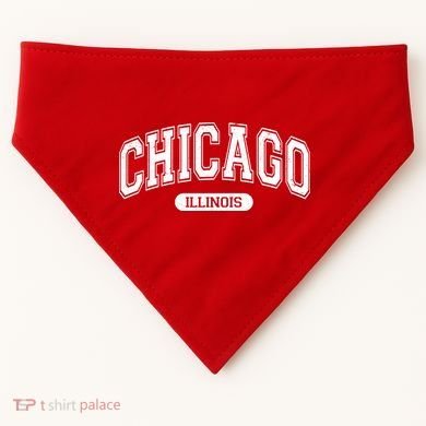 Chicago Illinois Area Code 872 Front And Back USA-Made Doggie Bandana