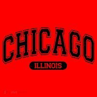 Chicago Illinois Area Code 872 Front And Back Santa Hat thumb 1