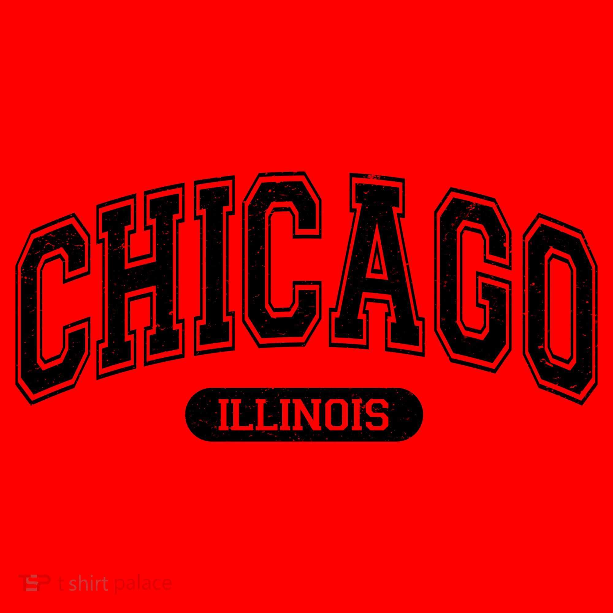 Chicago Illinois Area Code 872 Front And Back Santa Hat