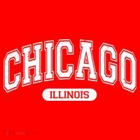 Chicago Illinois Area Code 872 Front And Back Hat thumb 2