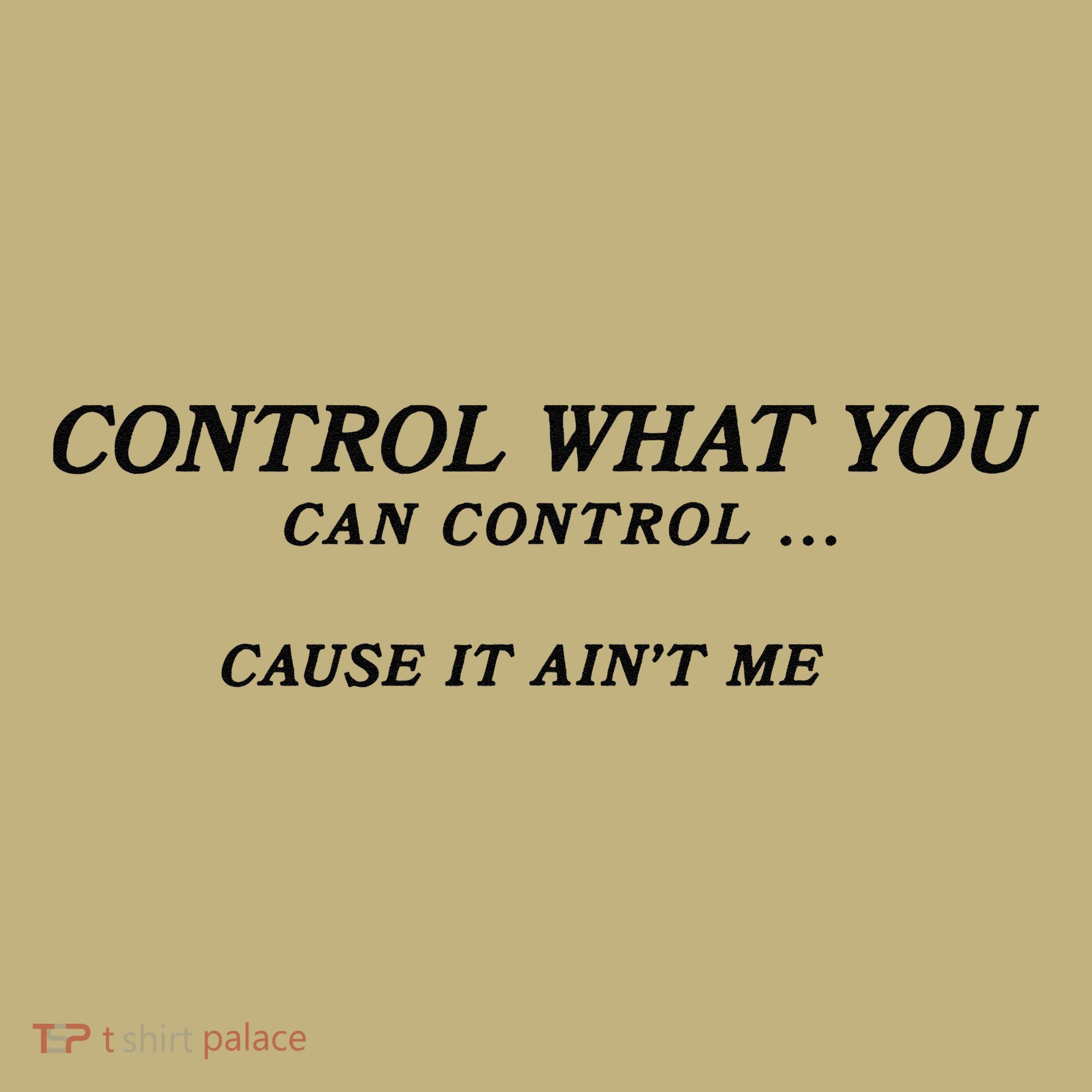 Cause It Aint Me Button