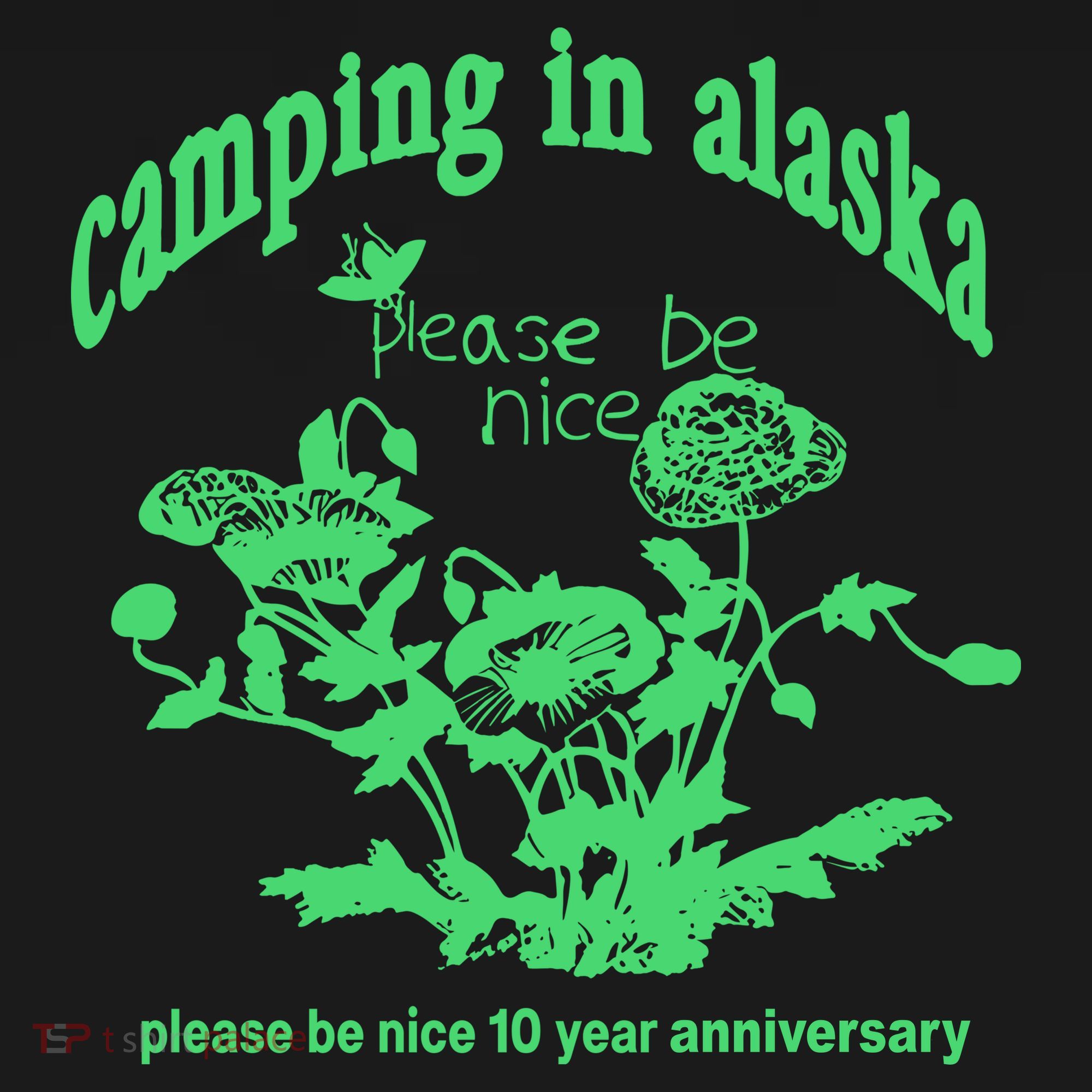 Camping In Alaska Please Be Nice 10 Year Anniversary Toddler Hoodie