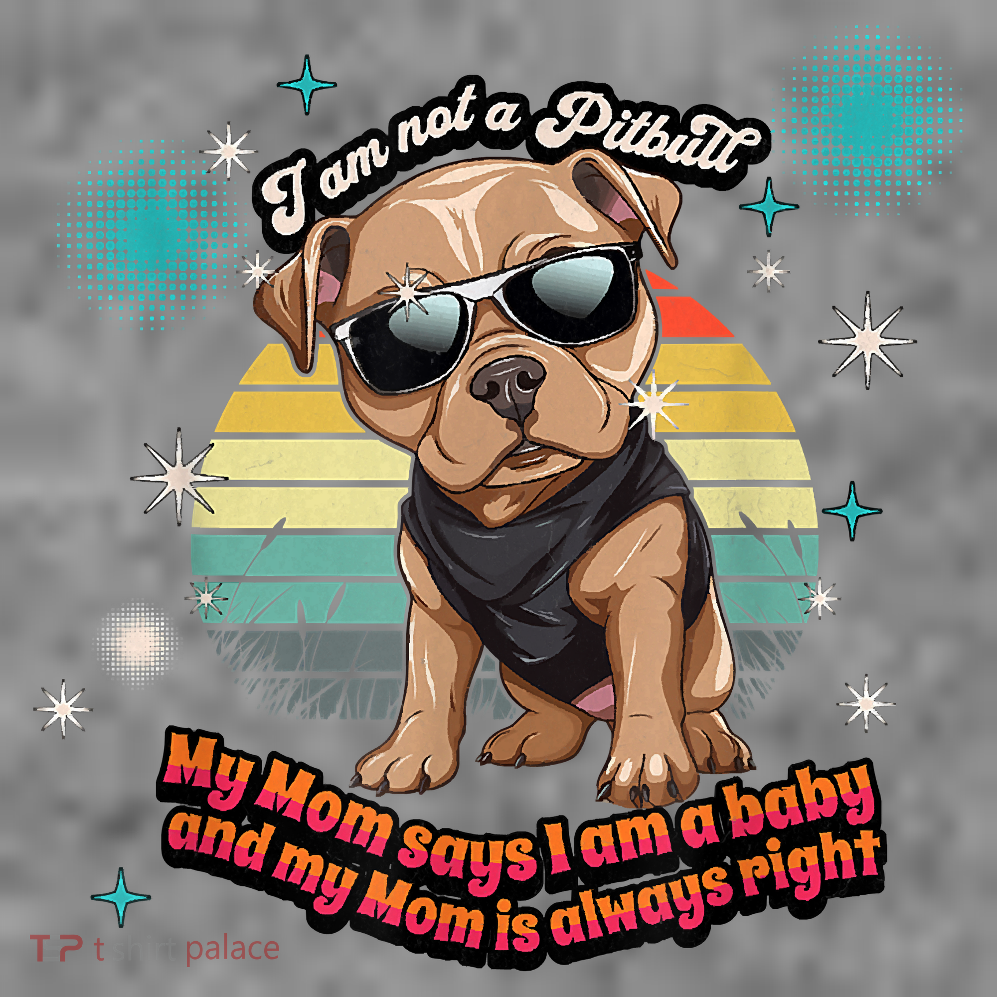 Cute I Am Not A Pitbull Funny Pitbull Dog Owners Gifts T-Shirt
