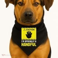 Caution I'm A Handful Cute 5th Birthday USA-Made Doggie Bandana thumb 1