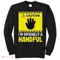 Caution I'm A Handful Cute 5th Birthday Sweatshirt thumb 0