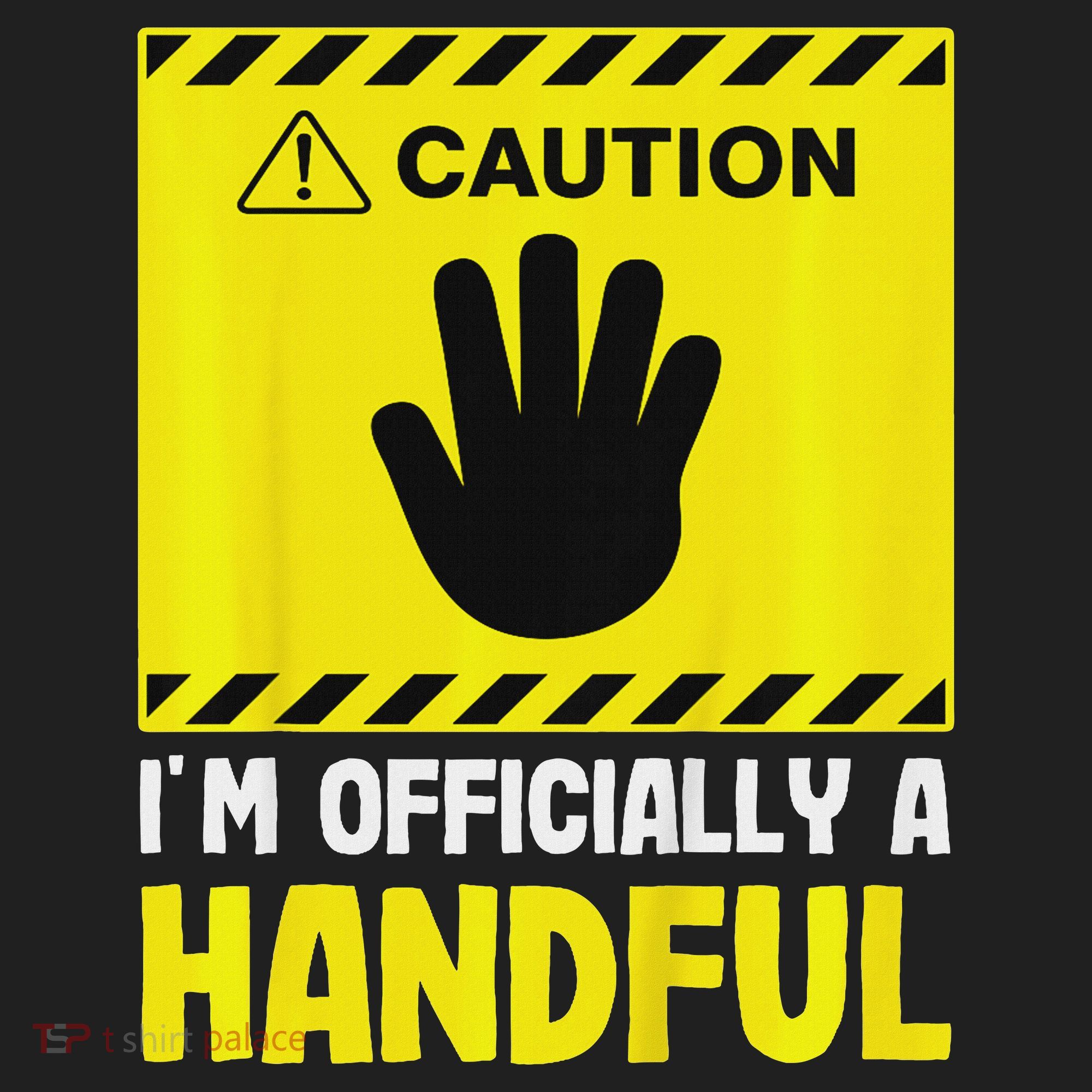 Caution I'm A Handful Cute 5th Birthday Beanie