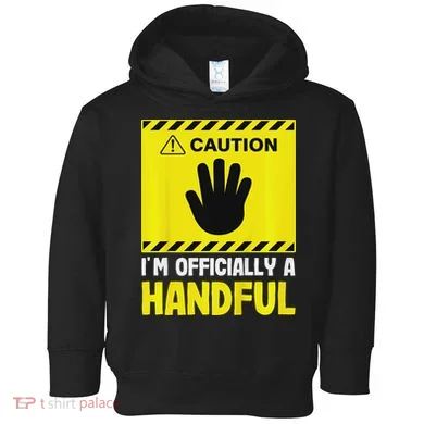 Toddler Hoodie