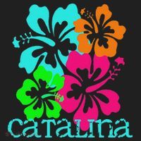 Catalina Island Beach Tropical Paradise Travel Surf Ocean Beanie thumb 2