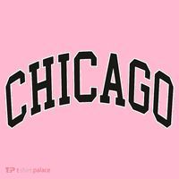 Chicago Illinois Coaster thumb 2