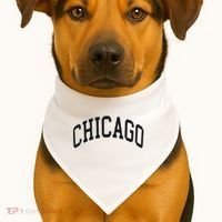 Chicago Illinois USA-Made Doggie Bandana thumb 1